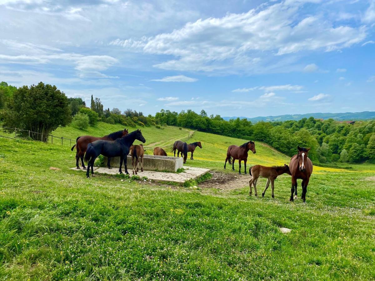 Poggiovalle Tenuta Italiana Citta della Pieve Bagian luar foto